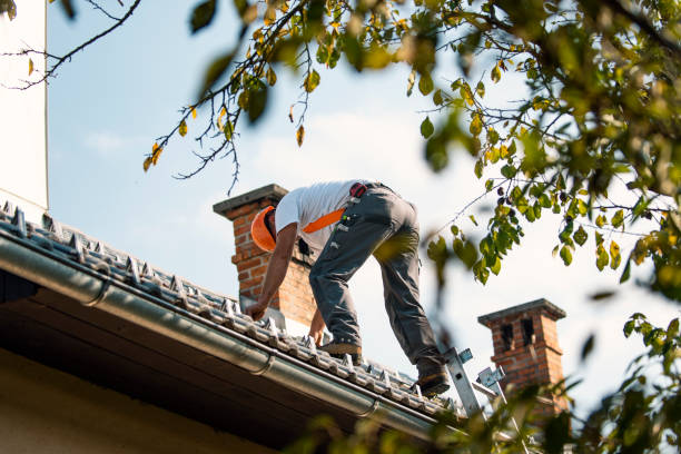 Fast & Reliable Emergency Roof Repairs in South Chicago Heights, IL