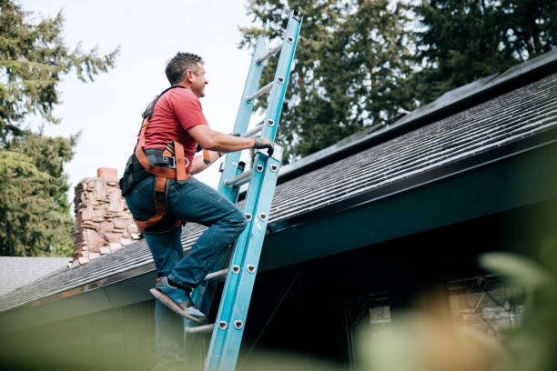 Best Commercial Roofing Services  in South Chicago Heights, IL